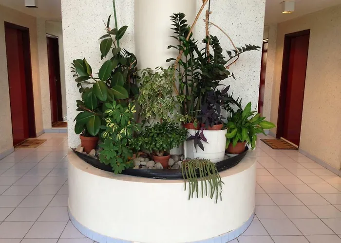 Avec Piscine Et Box, Vue Sur * Σετ